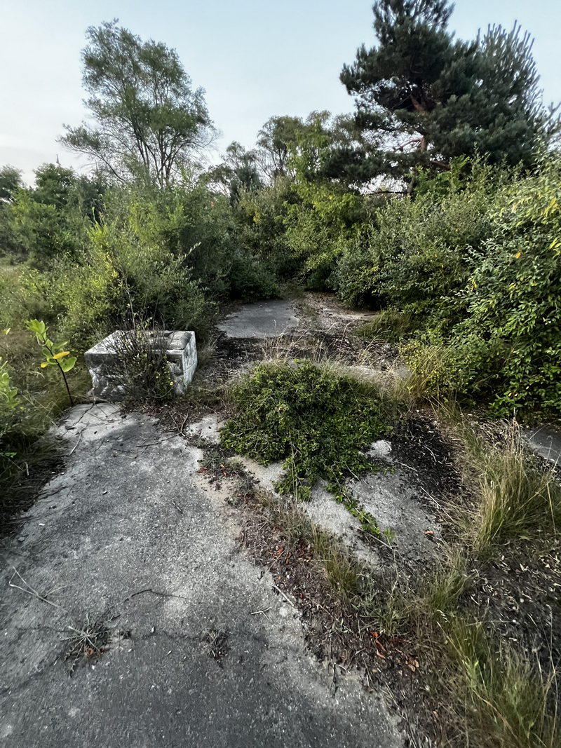 Traverse Drive-In Theatre - Aug 21 2024 (newer photo)